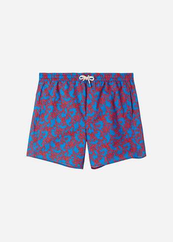 Men's Calzedonia Formentera Sport Swim Trunks Blue / Orange | IE2946XF