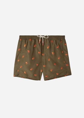 Men's Calzedonia Formentera Swim Trunks Brown | IE2937RW