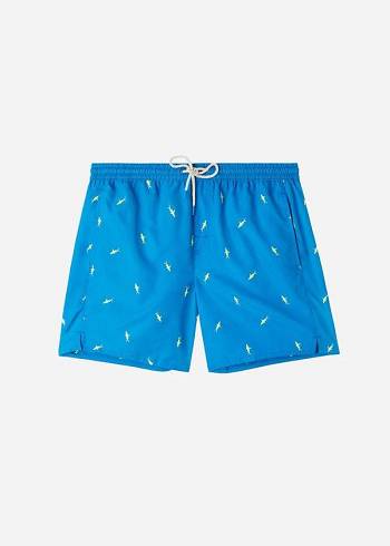 Men's Calzedonia Formentera Swim Trunks Blue / Grey | IE2939WY