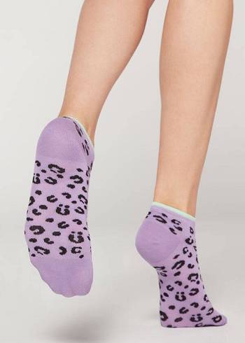 Women's Calzedonia Checkered No-show Socks Purple | IE2271SO