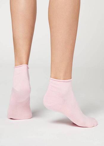 Women's Calzedonia Cuffless in Cotton Short Socks Pink | IE2394PQ