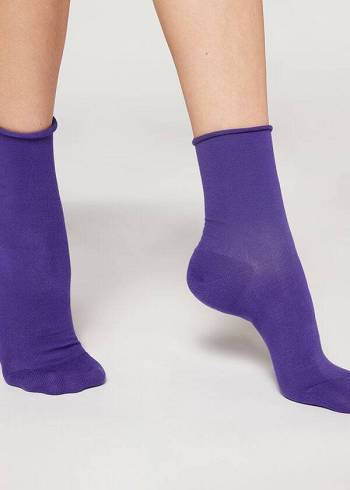 Women's Calzedonia Non-Elastic Cotton Ankle Short Socks Purple | IE2459VD