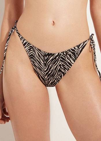 Women's Calzedonia Thong Zebra Nairobi Bikini Bottoms Black | IE1641YU