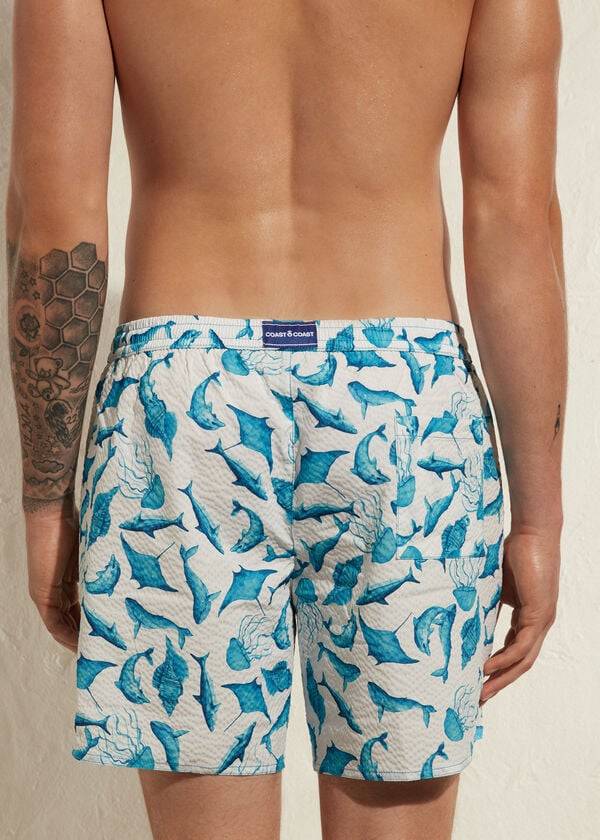 Men's Calzedonia Formentera Swim Trunks Turquoise / White | IE2920EX